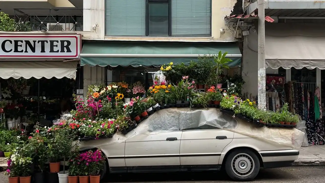 色导航怎么用以及新手常见问题分析