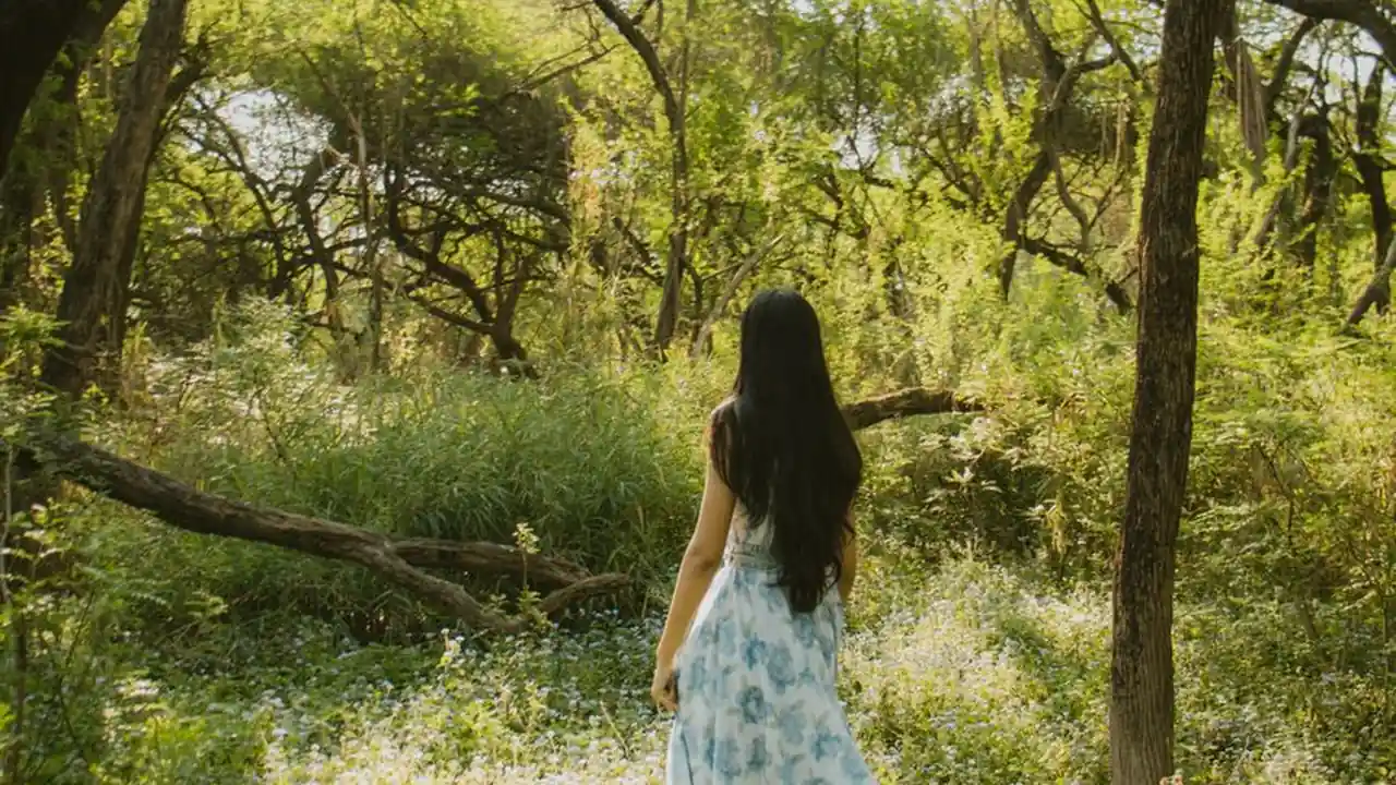 寻找成人A片网址的常见问题与安全访问注意事项