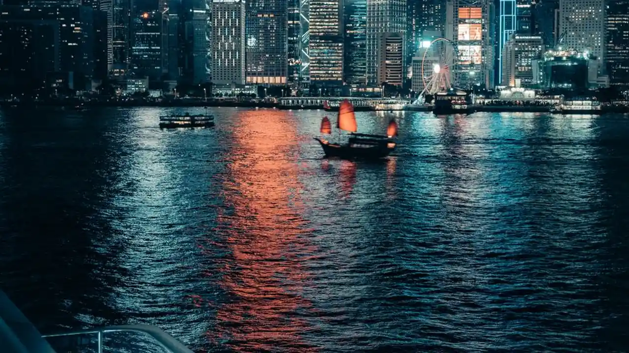杨东琦头像