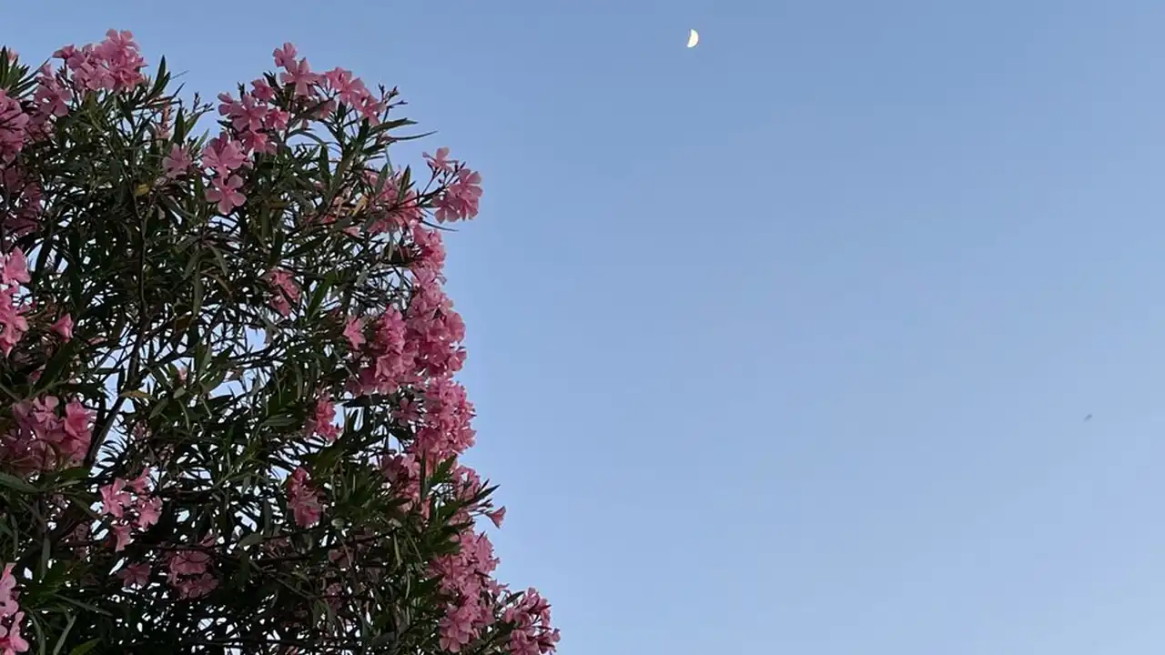 鉴璜师app下载需要注意哪些安装与使用问题？