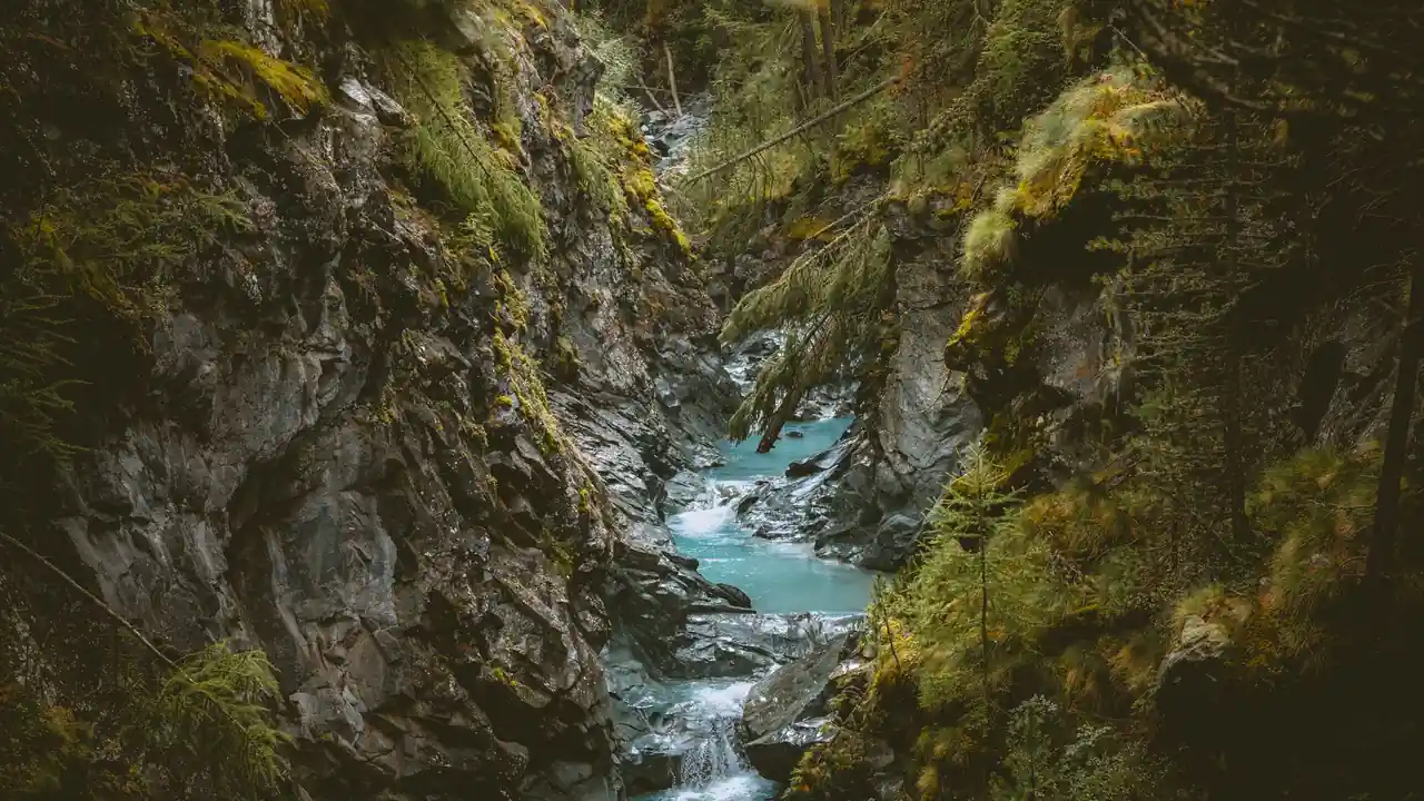 如何使用站搜索功能及适用场景