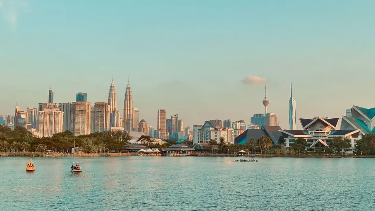 依依成网是什么 平台功能与使用场景解析